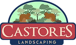 Castores Landscape